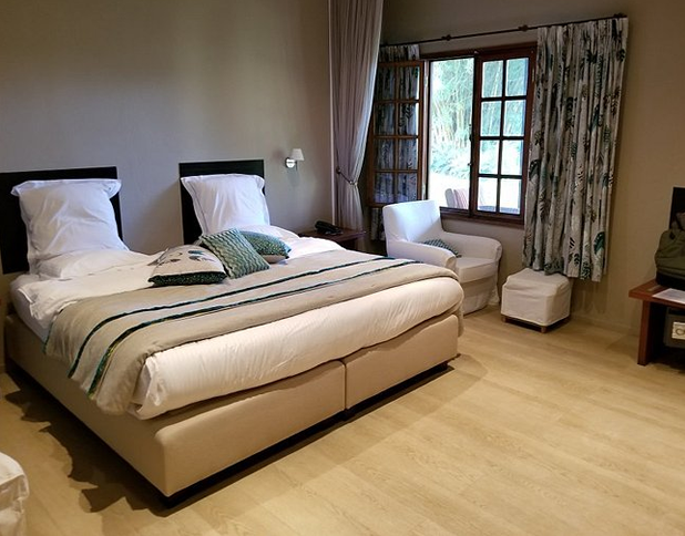 orchid's safari club